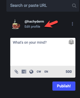 Screenshot of left Mastodon navigation bar with search field,
user's avatar, user's handle, and the text Edit Profile. The
Edit Profile text has a large, red arrow pointing to it.